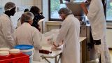«Пили бы баварское»: в традиционные колбаски в Германии добавили червей