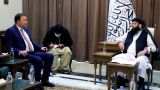 В феврале ООН проведет очередную встречу с талибами* в Дохе