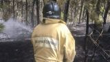 Лесной пожар под Севастополем локализован, угрозы домам и постройкам нет — Развожаев