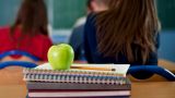 С какой стати? В Госдуме предложили отменить бесплатные школы для детей мигрантов