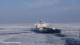 Нефть из России пошла в Китай сквозь льды: танкеры с Балтики отправили по Севморпути