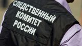 Migrants in Moscow were issued summonses: The Investigative Committee took a walk around the capital