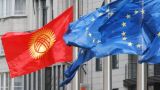 Евросоюз остался недоволен результатами выборов в Киргизии