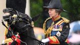 Попала под лошадь: сестра британского монарха получила сотрясение мозга
