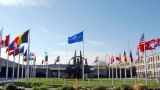 НАТО разваливается на новые военные блоки