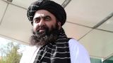«Талибан»* выразил соболезнование лидеру ХАМАС в связи с убийством семьи