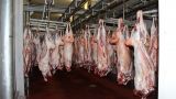 Казахстан будет экспортировать мясо в Саудовскую Аравию