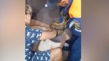 Трехметровый удав напал на хозяйку в Новороссийске