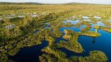 Власти Финляндии намерены восстановить защитные болота на границе с Россией
