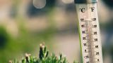 Аномальная жара в Ростовской области: побит 80-летний температурный рекорд