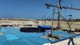 «Росатом» взялся за третий энергоблок АЭС в Египте