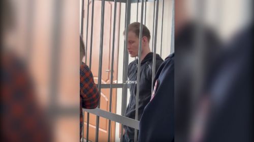 The son of a Russian writer convicted of stealing millions was released in the courtroom