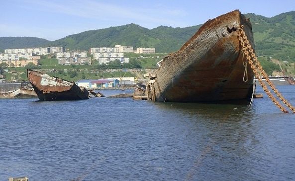 Авачинская бухта на камчатке фото