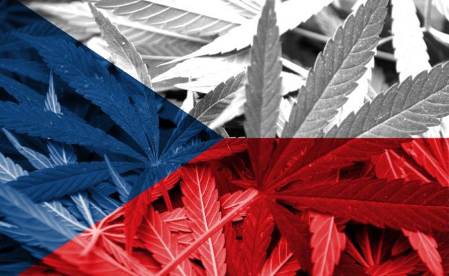 легализации марихуаны в чехии