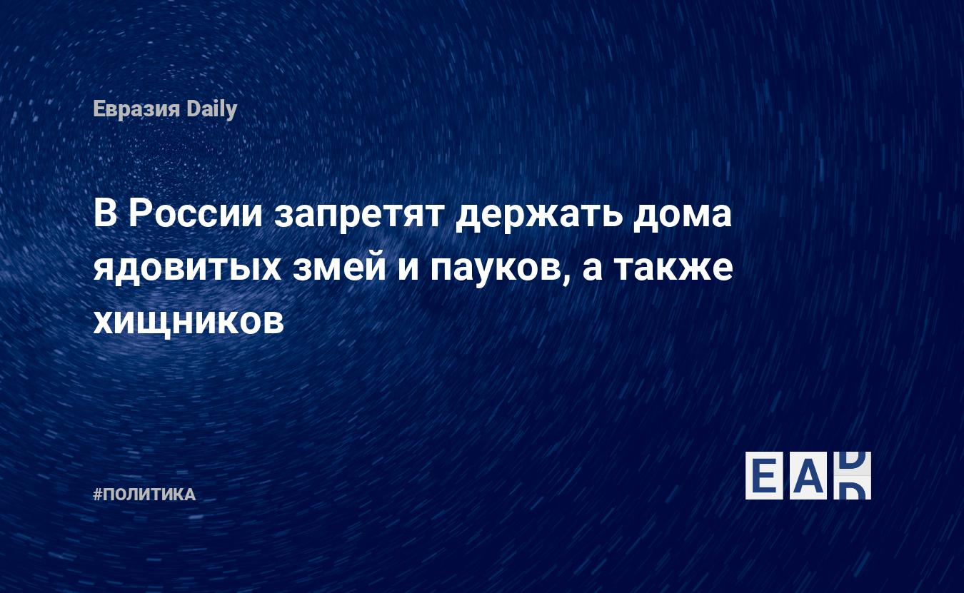 В России запретят держать дома ядовитых змей и пауков, а также хищников —  EADaily, 23 февраля 2019 — Новости политики, Новости России