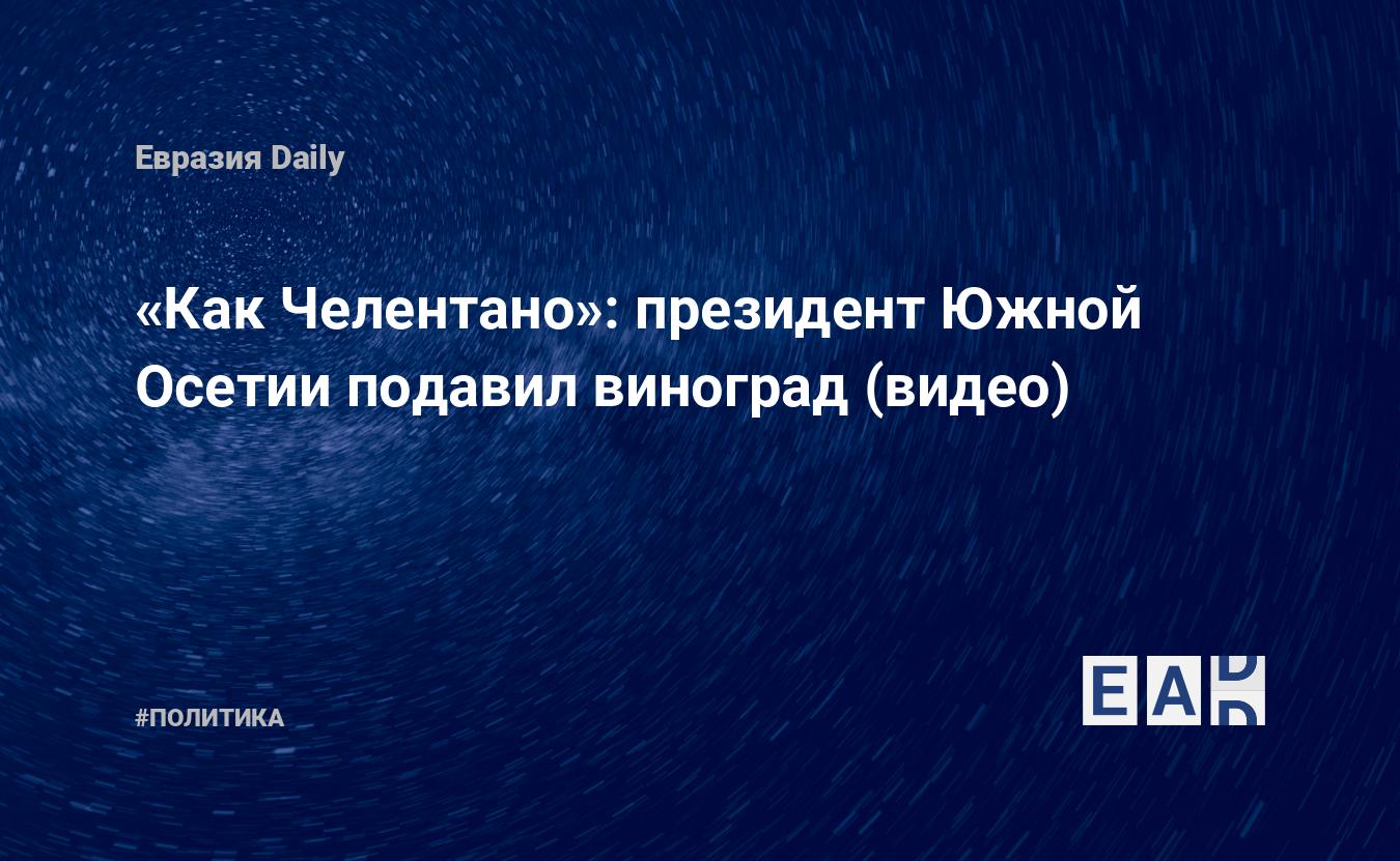 Как Челентано»: президент Южной Осетии подавил виноград (видео) — EADaily,  12 октября 2019 — Южная Осетия. Новости Южной Осетии. Южная Осетия сегодня.  Новости Южной Осетии сегодня