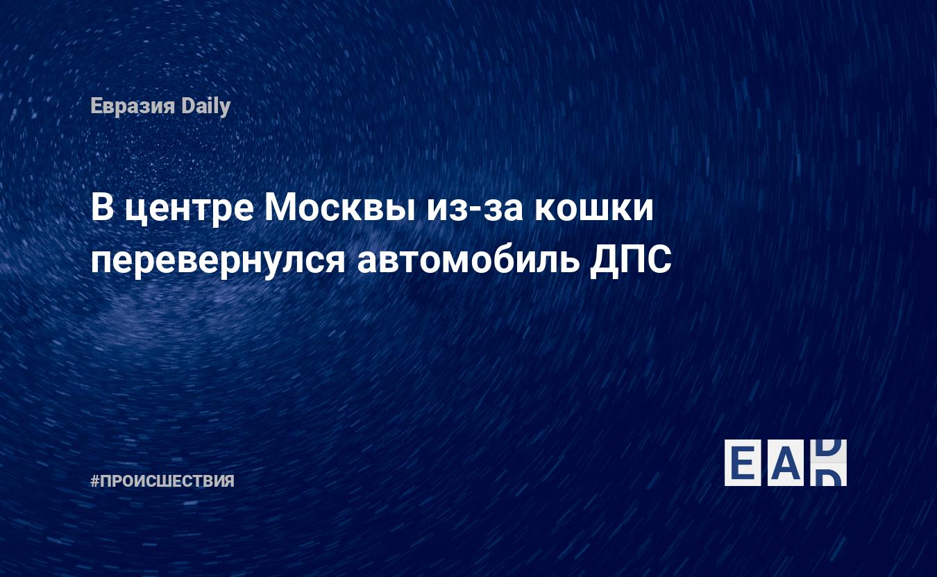 В центре Москвы из-за кошки перевернулся автомобиль ДПС — EADaily, 9 апреля  2020 — Происшествия, Новости России