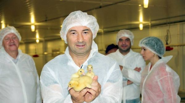 ОБЗОР: Суд 14 марта рассмотрит иск А-1 к крупнейшему производителю индейки в РФ