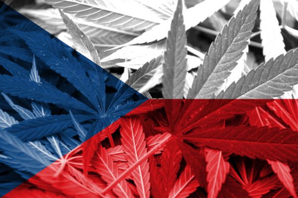 легализации марихуаны в чехии