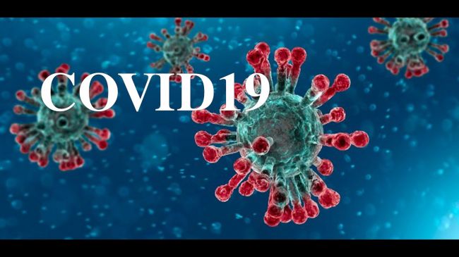 В Москве ритуальное агентство патентует товарный знак coronavirus ...