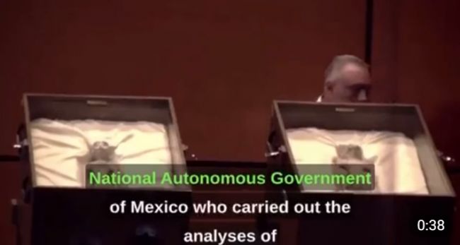 Mexican Parliament Showcases Mummified Alien Remains Found in Peru