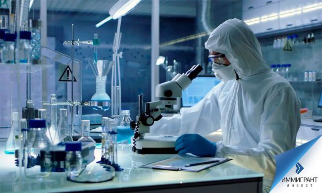 Ученые: Кошачье лекарство может подавлять коронавирус у человека — Общество. Новости, Другие — EADaily