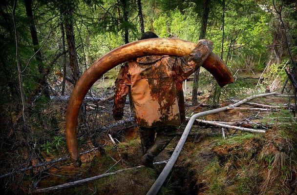 «Единая Россия» предложила пополнять бюджет, продавая останки мамонтов 2 a51f110fb480e4db40ca2473df5f2 «Единая Россия» предложила пополнять бюджет, продавая останки мамонтов